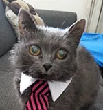 Avatar de l’utilisateur