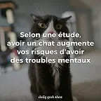 Avatar de l’utilisateur