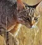 Avatar de l’utilisateur