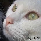 Avatar de l’utilisateur