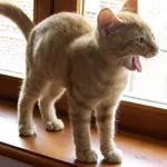 Avatar de l’utilisateur