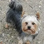 Avatar de l’utilisateur