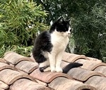 Avatar de l’utilisateur