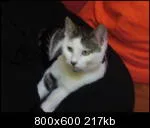 Avatar de l’utilisateur