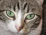 Avatar de l’utilisateur