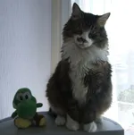 Avatar de l’utilisateur