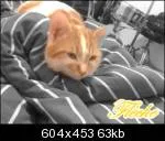 Avatar de l’utilisateur