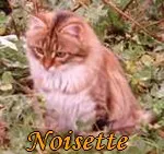 Avatar de l’utilisateur