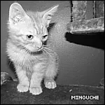 Avatar de l’utilisateur
