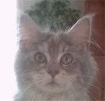 Avatar de l’utilisateur