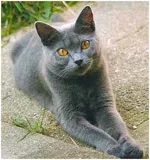 Avatar de l’utilisateur