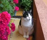 Avatar de l’utilisateur