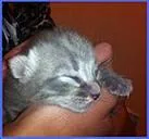 Avatar de l’utilisateur