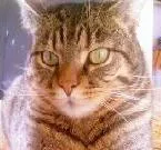 Avatar de l’utilisateur