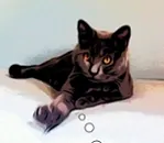 Avatar de l’utilisateur