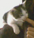 Avatar de l’utilisateur