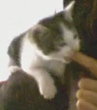 Avatar de l’utilisateur