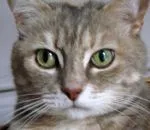 Avatar de l’utilisateur