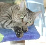 Avatar de l’utilisateur