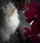 Avatar de l’utilisateur