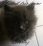 Avatar de l’utilisateur