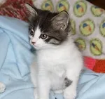 Avatar de l’utilisateur