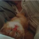 Avatar de l’utilisateur