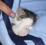 Avatar de l’utilisateur