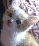 Avatar de l’utilisateur