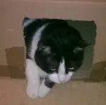 Avatar de l’utilisateur