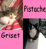 Avatar de l’utilisateur