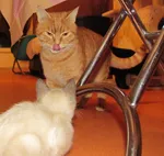 Avatar de l’utilisateur