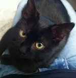 Avatar de l’utilisateur