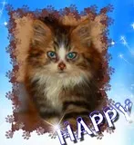 Avatar de l’utilisateur