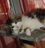 Avatar de l’utilisateur