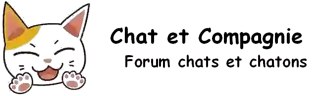 Forum chat
