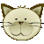 :cat2: