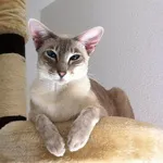 Avatar de l’utilisateur