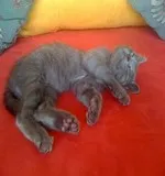 Avatar de l’utilisateur