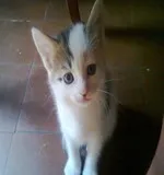 Avatar de l’utilisateur