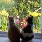 Avatar de l’utilisateur