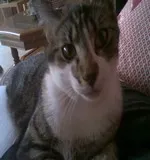 Avatar de l’utilisateur