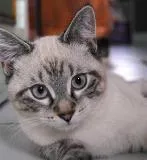 Avatar de l’utilisateur