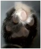 Avatar de l’utilisateur