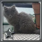 Avatar de l’utilisateur