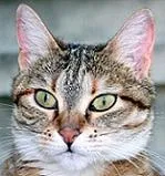 Avatar de l’utilisateur