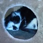 Avatar de l’utilisateur