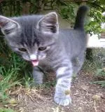 Avatar de l’utilisateur