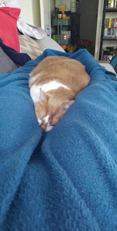 Dès que les températures rafraichissent...vivement l'automne !!