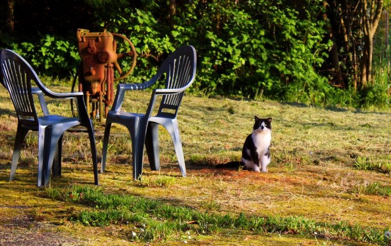 Dubitatif... autant que moi ! si seulement il pouvait parler...!